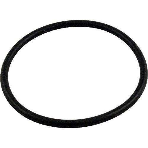 352602 Pentair Pacfab 590 Lid O-Ring For