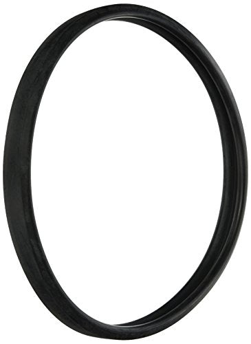 SPX0503W Hayward Lens Gasket