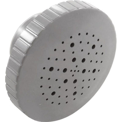 Rain Massage Spa Jet Internal 1-1/2" Gray