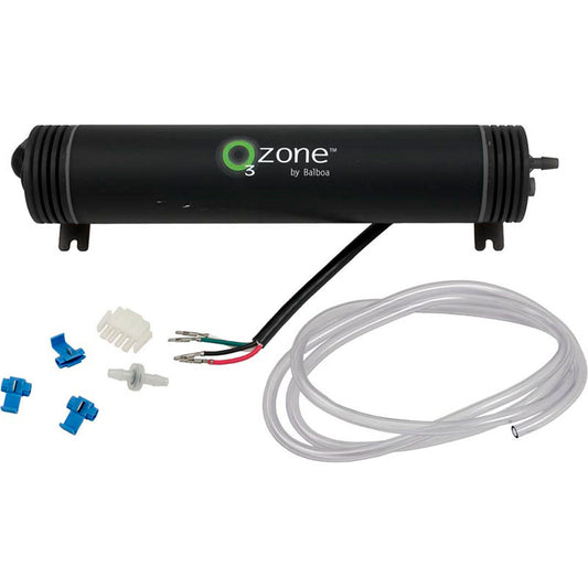 Ozonator, BWG, 115v/230v, w/Check Valve, AMP Cord