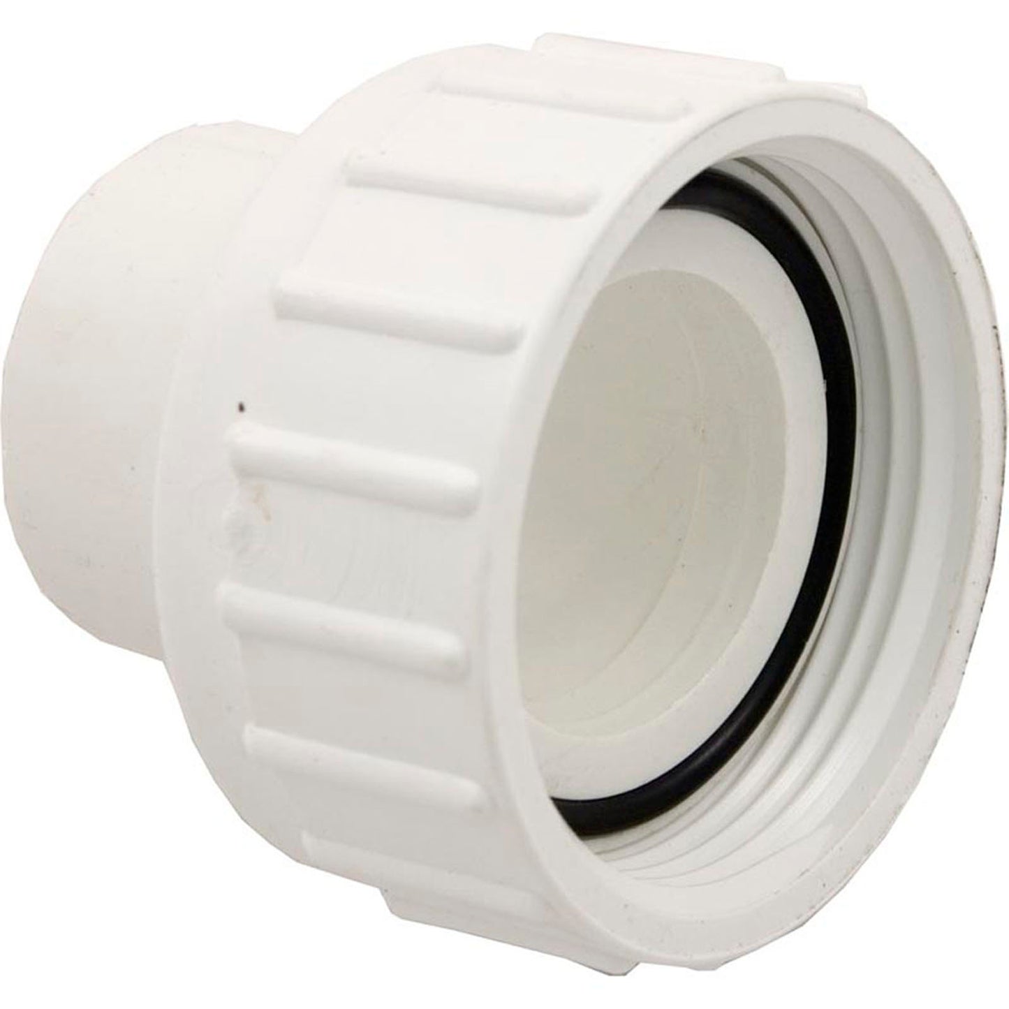 Pump Union, 1-1/2" Female Buttress Thread x 1-1/2" Spigot